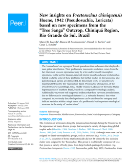 New Insights on Prestosuchus Chiniquensis Huene