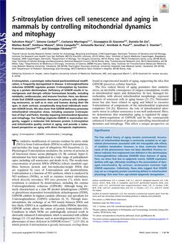 S-Nitrosylation Drives Cell Senescence and Aging in Mammals By