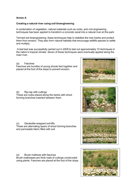 Annex a Creating a Natural River Using Soil Bioengineering