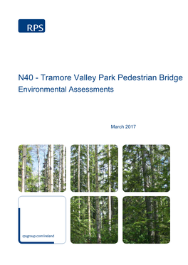 N40 - Tramore Valley Park Pedestrian Bridge Environmental Assessments