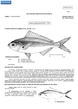 CAES Caes 6 1983 FAO SPECIES IDENTIFICATION SHEETS FAMILY