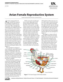 ASC-201: Avian Female Reproductive System