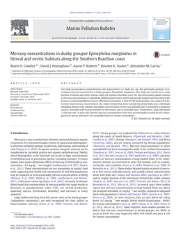 Mercury Concentrations in Dusky Grouper Epinephelus Marginatus in Littoral and Neritic Habitats Along the Southern Brazilian Coast