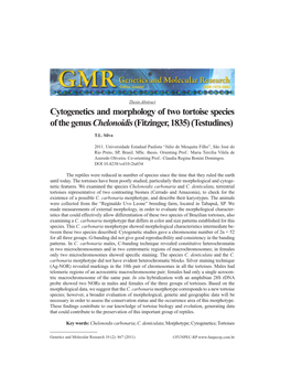 Cytogenetics and Morphology of Two Tortoise Species of the Genus Chelonoidis (Fitzinger, 1835) (Testudines)