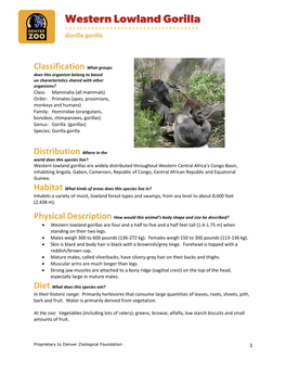 Western-Lowland-Gorilla.Pdf