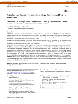 A Step Towards Stereotactic Navigation During Pelvic Surgery: 3D Nerve Topography