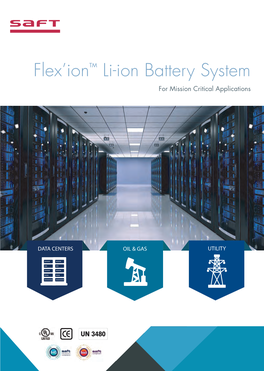 Flex'ion Li-Ion Battery System