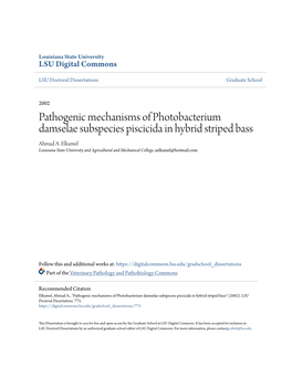 Pathogenic Mechanisms of Photobacterium Damselae Subspecies Piscicida in Hybrid Striped Bass Ahmad A