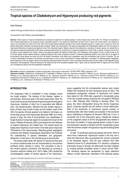 Tropical Species of Cladobotryum and Hypomyces Producing Red Pigments