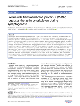 (PRRT2) Regulates the Actin Cytoskeleton During Synaptogenesis