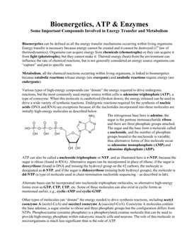 Bioenergetics, ATP & Enzymes