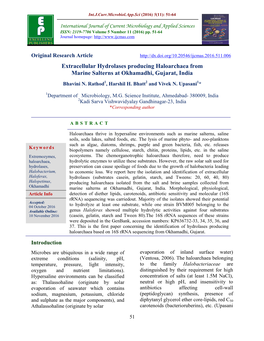 Extracellular Hydrolases Producing Haloarchaea from Marine Salterns at Okhamadhi, Gujarat, India