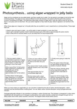 Photosynthesis... Using Algae Wrapped in Jelly Balls