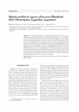 Meiotic Studies in Lygaeus Alboornatus Blanchard 1852 (Heteroptera, Lygaeidae, Lygaeinae)