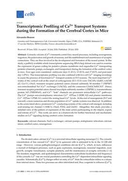 Transcriptomic Profiling of Ca Transport Systems During