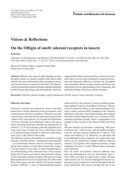 Visions & Reflections on the Origin of Smell: Odorant Receptors in Insects