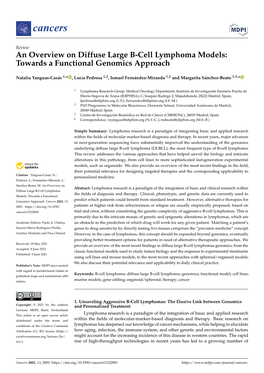 An Overview on Diffuse Large B-Cell Lymphoma Models: Towards a Functional Genomics Approach