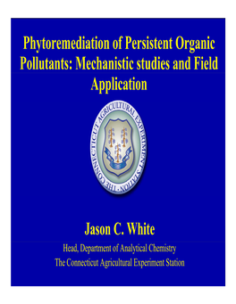 Phytoremediation of Persistent Organic Pollutants: Mechanistic Studies and Field Application