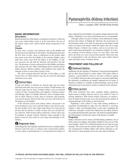 Pyelonephritis (Kidney Infection)