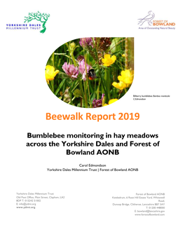 Beewalk Report 2019