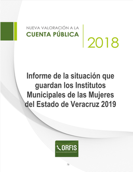Situación Que Guardan Los Institutos Municipales De Las Mujeres Del Estado De Veracruz 2019