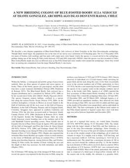 A New Breeding Colony of Blue-Footed Booby Sula Nebouxii at Islote González, Archipelago Islas Desventuradas, Chile