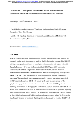 The Adenoviral E1B-55K Protein Present in HEK293 Cells Mediates Abnormal Accumulation of Key WNT Signaling Proteins in Large Cytoplasmic Aggregates