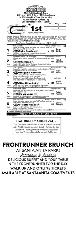 Cal Bred Maiden Race