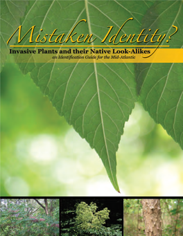 Mistaken Identity? Invasive Plants and Their Native Look-Alikes: an Identification Guide for the Mid-Atlantic