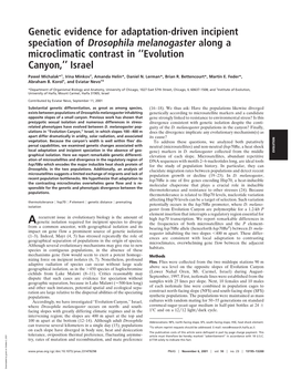 Genetic Evidence for Adaptation-Driven Incipient Speciation of Drosophila Melanogaster Along a Microclimatic Contrast in ‘‘Evolution Canyon,’’ Israel