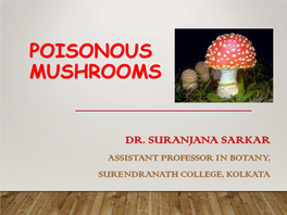 Poisonous Mushrooms