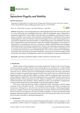 Spirochete Flagella and Motility