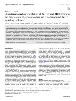 E6-Induced Selective Translation of WNT4 and JIP2 Promotes the Progression of Cervical Cancer Via a Noncanonical WNT Signaling Pathway