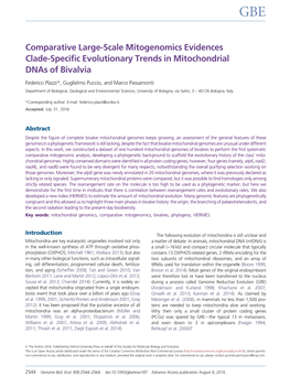 Comparative Large-Scale Mitogenomics Evidences Clade-Specific Evolutionary Trends in Mitochondrial Dnas of Bivalvia