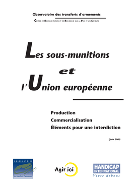 Rapport Sous-Munition