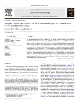 Hox Gene Colinear Expression in the Avian Medulla Oblongata Is Correlated with Pseudorhombomeric Domains