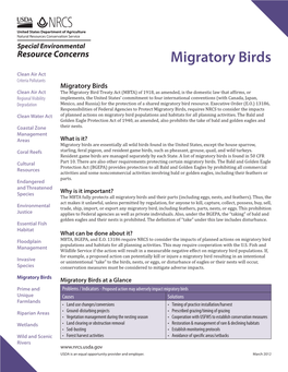 Migratory Birds