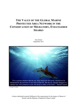 The Value of the Global Marine Protected Area Network in the Conservation of Migratory, Endangered Sharks