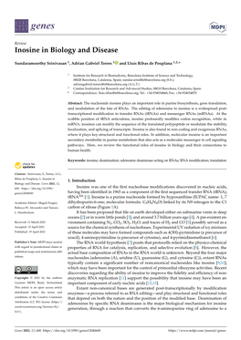 Inosine in Biology and Disease