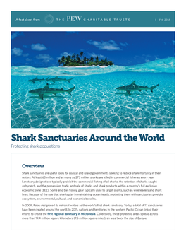 Shark Sanctuaries Around the World (PDF)