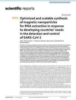 Optimized and Scalable Synthesis of Magnetic Nanoparticles for RNA