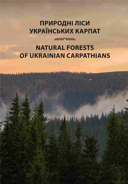 Природнi Лiси Українських Карпат Natural Forests Of