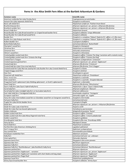 Copy of Alice Smith Fern Allee Inventory 3