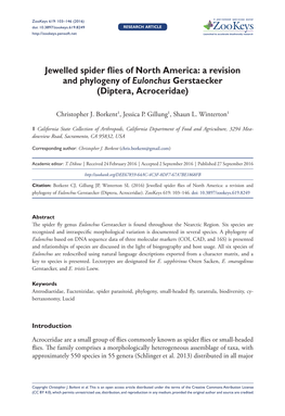 A Revision and Phylogeny of Eulonchus Gerstaecker (Diptera, Acroceridae)