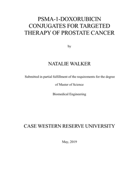 Psma-1-Doxorubicin Conjugates for Targeted Therapy of Prostate Cancer