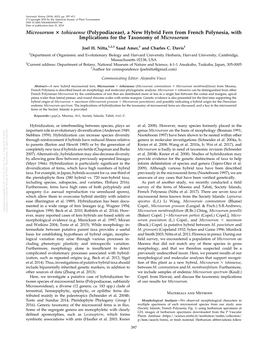 Microsorum 3 Tohieaense (Polypodiaceae)