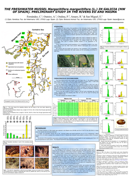 THE FRESHWATER MUSSEL Margaritifera Margaritifera (L.) in GALICIA (NW of SPAIN). PRELIMINARY STUDY in the RIVERS EO and MASMA