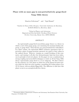 Phase with No Mass Gap in Non-Perturbatively Gauge-Fixed