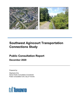 SW Agincourt Consultation Summary November 2020