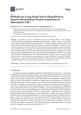 Methods for Using Small Non-Coding Rnas to Improve Recombinant Protein Expression in Mammalian Cells